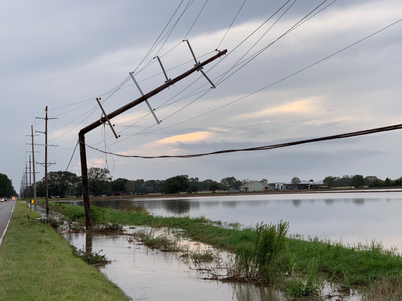 Damaged utility pole