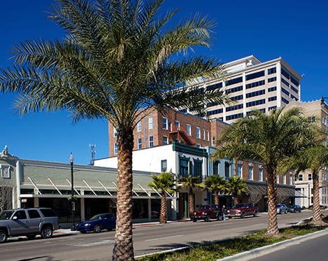 Beautiful buildings on a road with palm trees lining the street