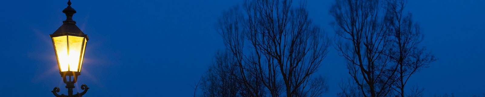 Streetlamp at night with trees in background