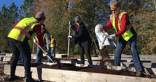 Men and women helping to plant trees 