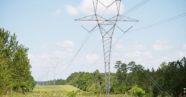 Powerlines in the midst of green trees and blue skies